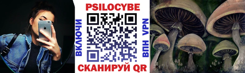 Купить закладки  Сортавала  Псилоцибиновые грибы мухоморы 